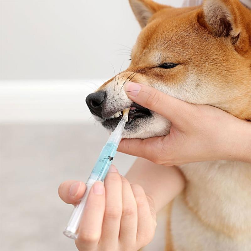 Pet Tartar Remover Teeth Cleaning Pen